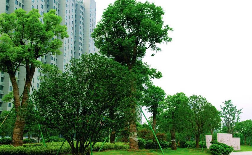 微信截图_20230213104638.jpg 微信截图_20230213104638.jpg