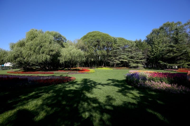 扎实推行林长制 保护发展园林绿化资源